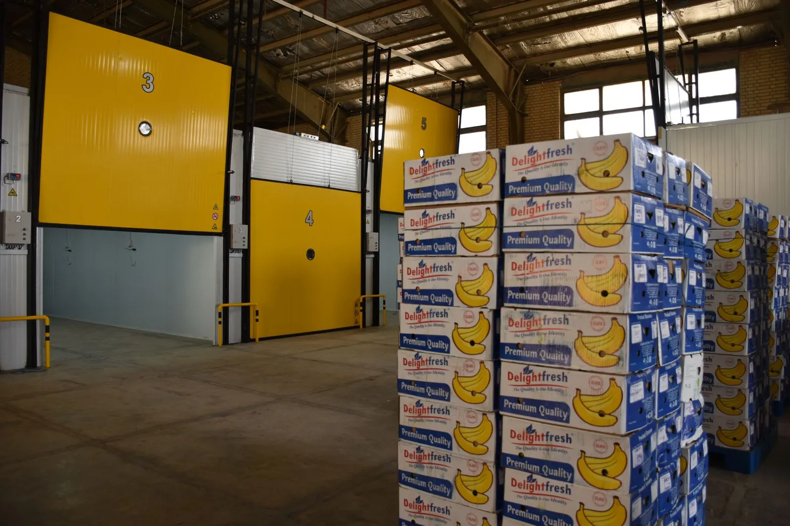 Pallets of bananas in front of insulated ripening rooms in a fruit warehouse
